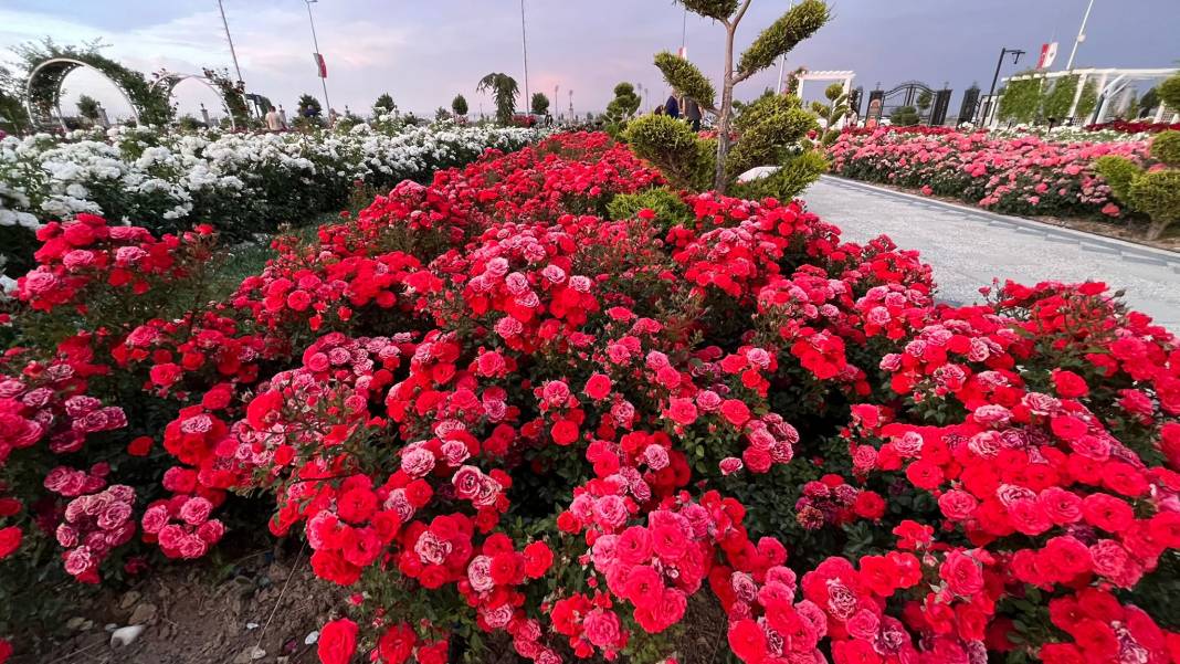 Konya’nın günbatımında masalsı manzara sunan parkı 31
